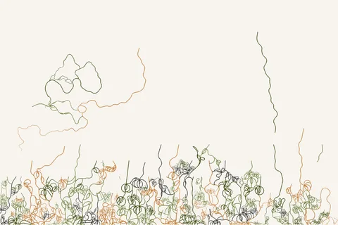 No. 128