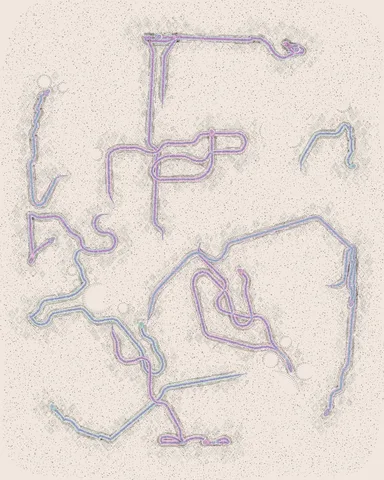 No. 003