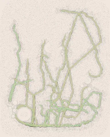 No. 004