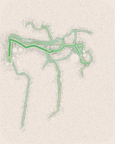 No. 010
