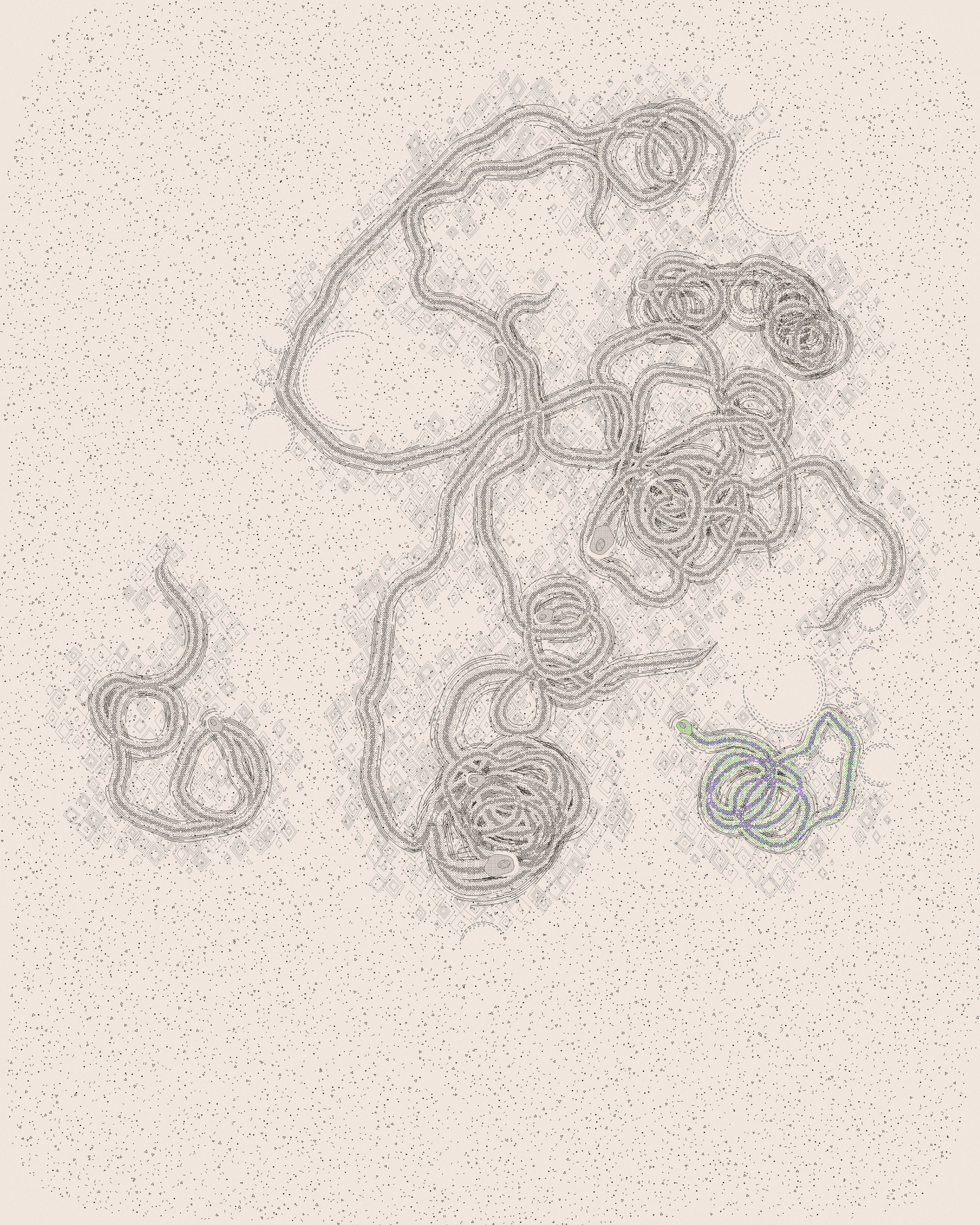 house-q-8’s part of the drawing