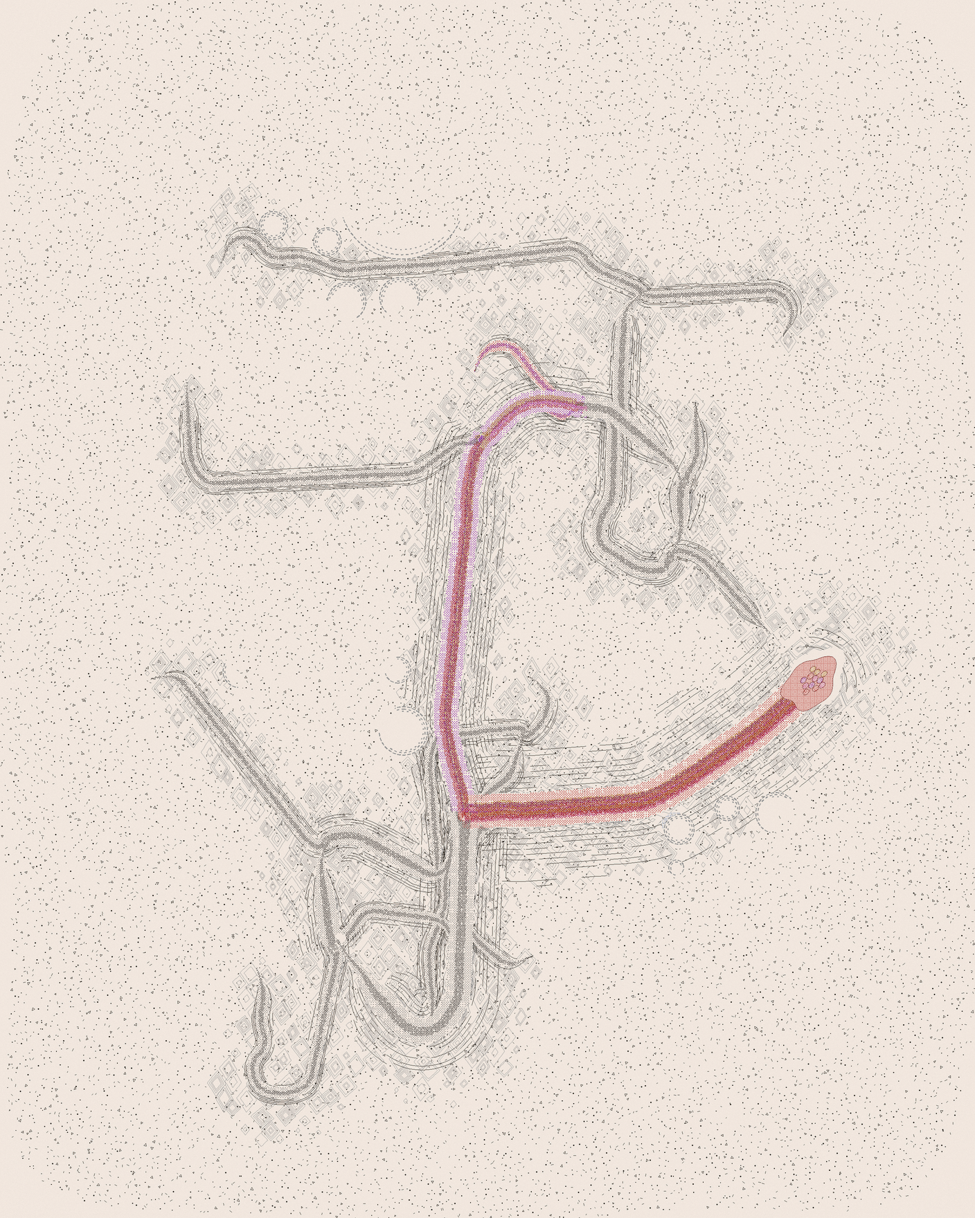 house-q-10’s part of the drawing