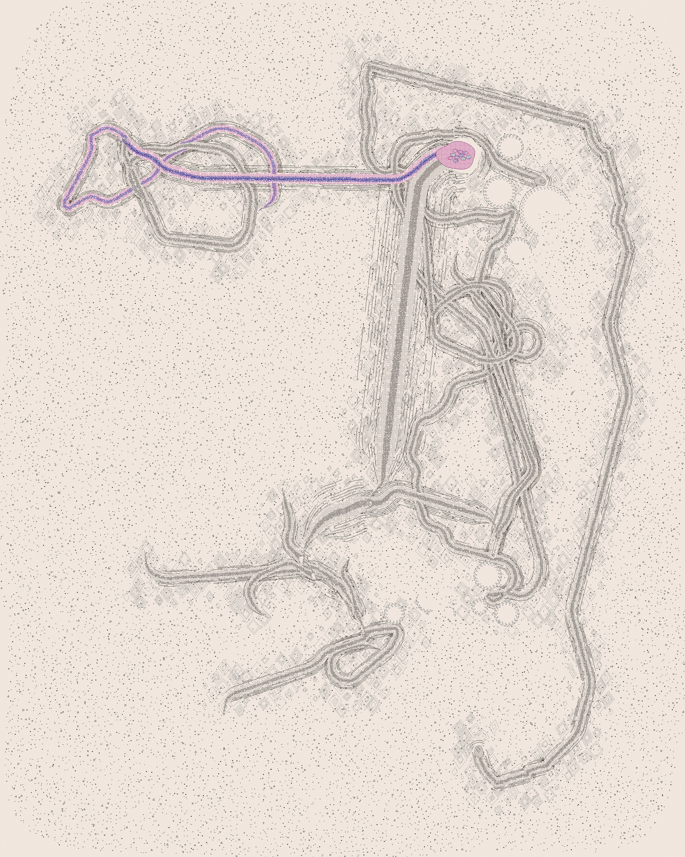 house-q-7’s part of the drawing