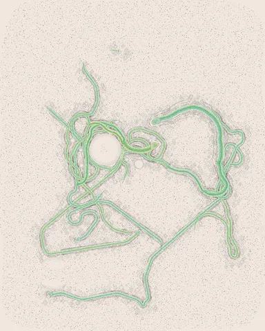 No. 025