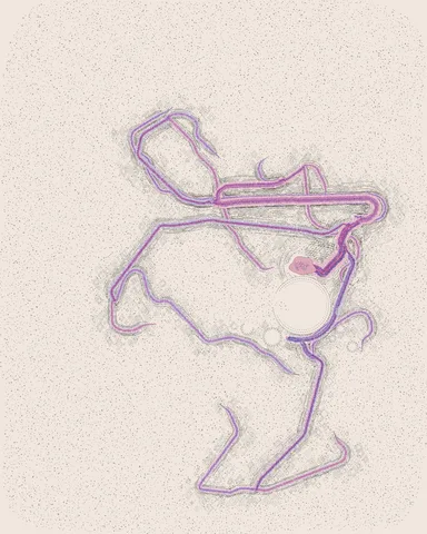 No. 026