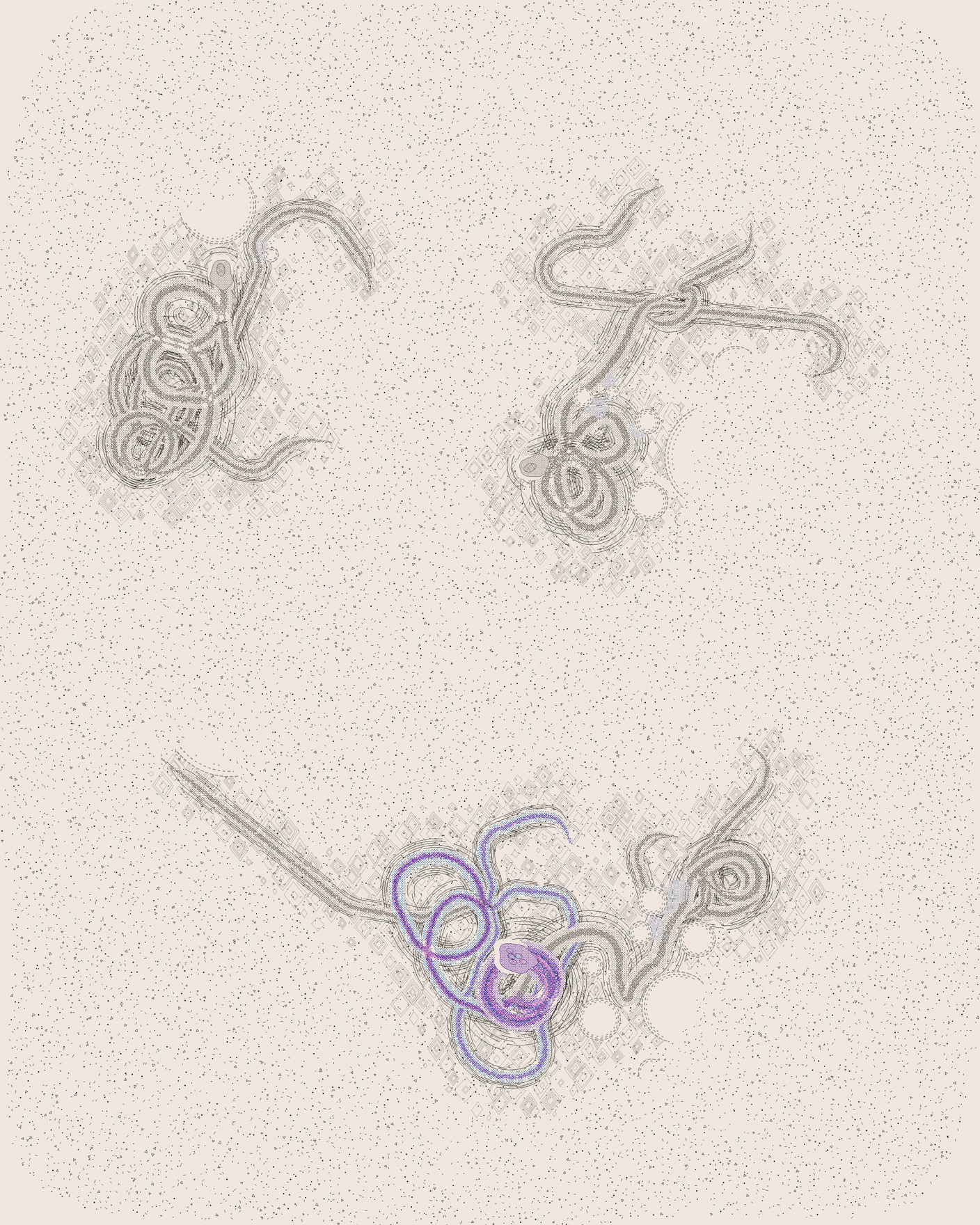 house-q-1’s part of the drawing