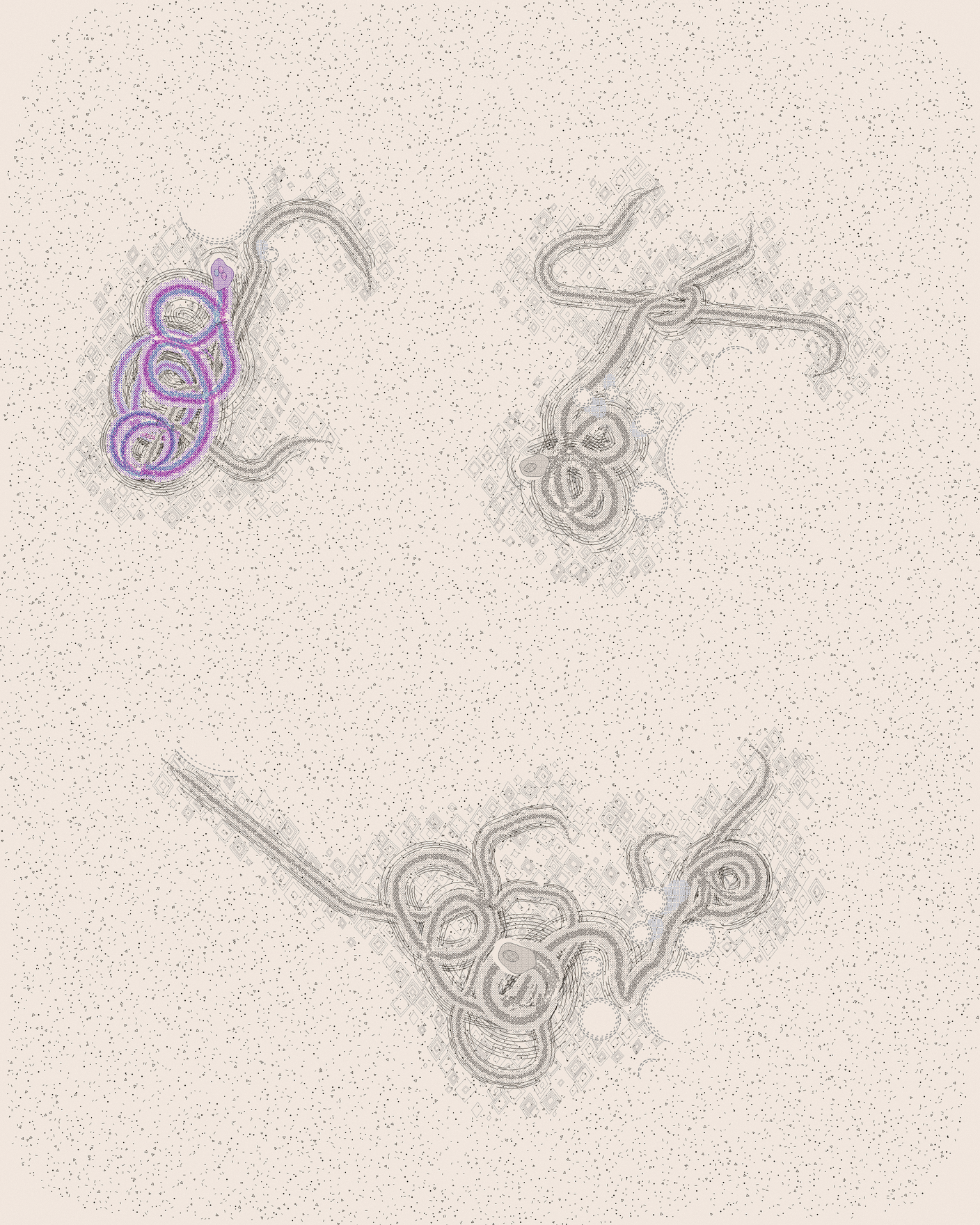 house-q-2’s part of the drawing