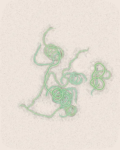 No. 030