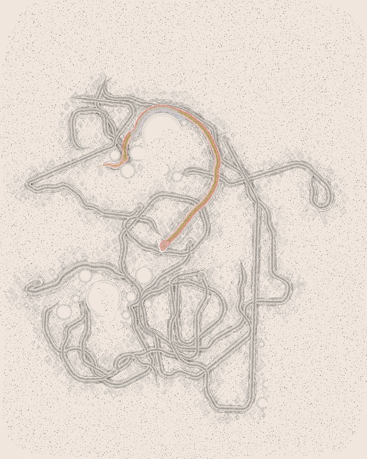 house-q-9’s part of the drawing