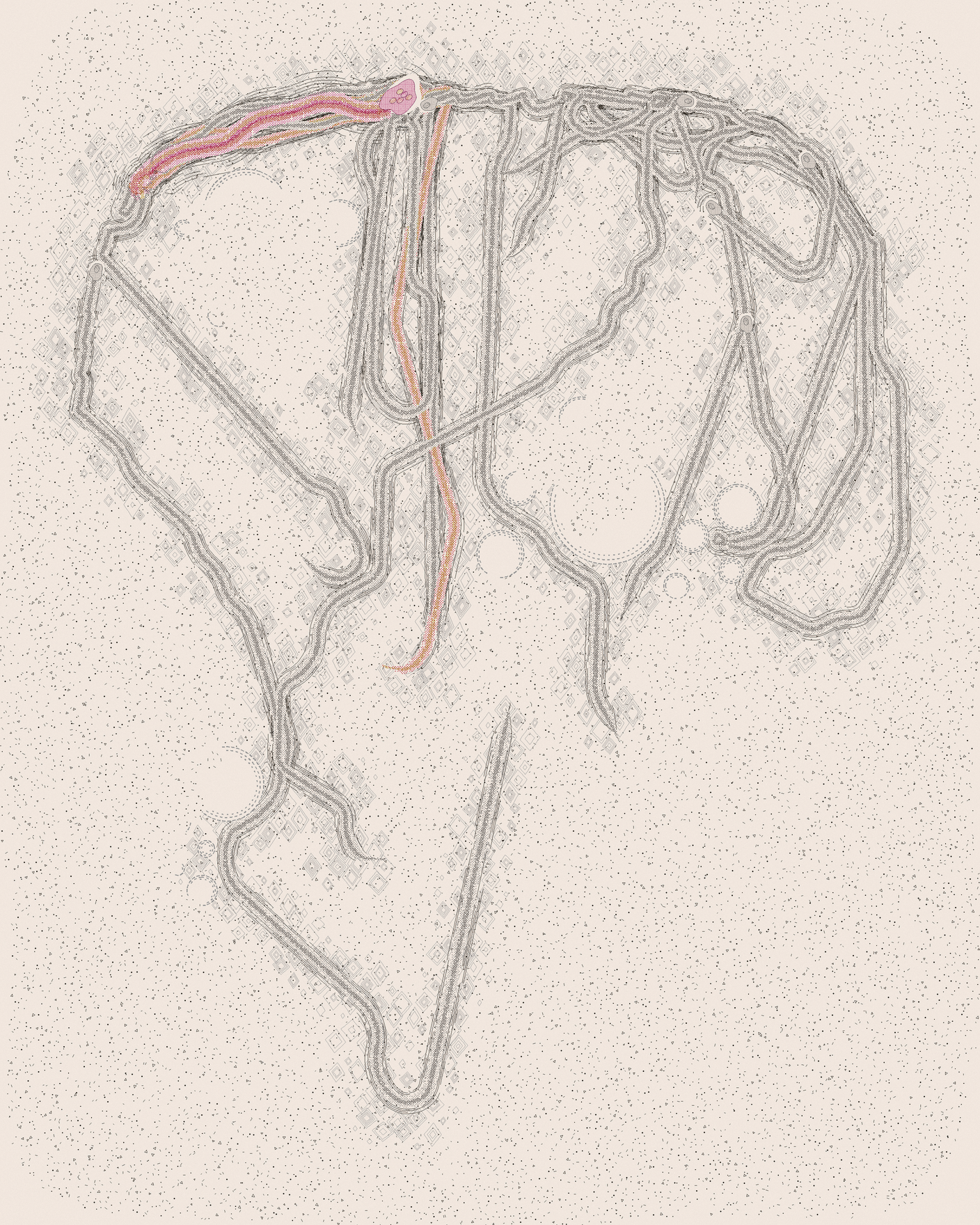 house-q-2’s part of the drawing