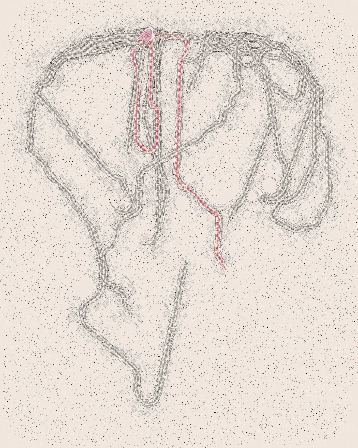 house-q-5’s part of the drawing
