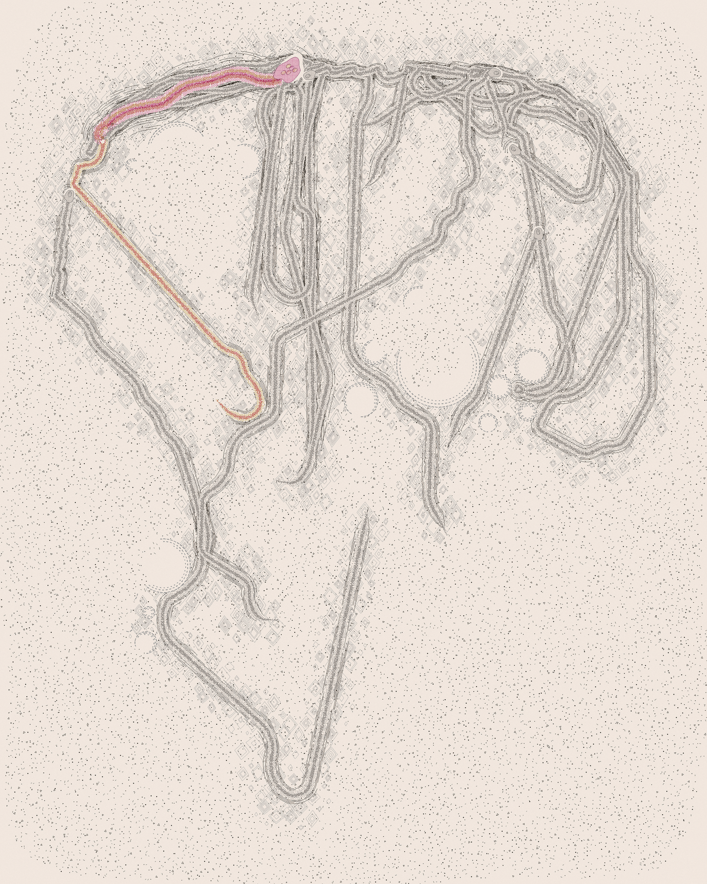 house-q-8’s part of the drawing