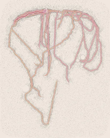 Wrinkles No. 046