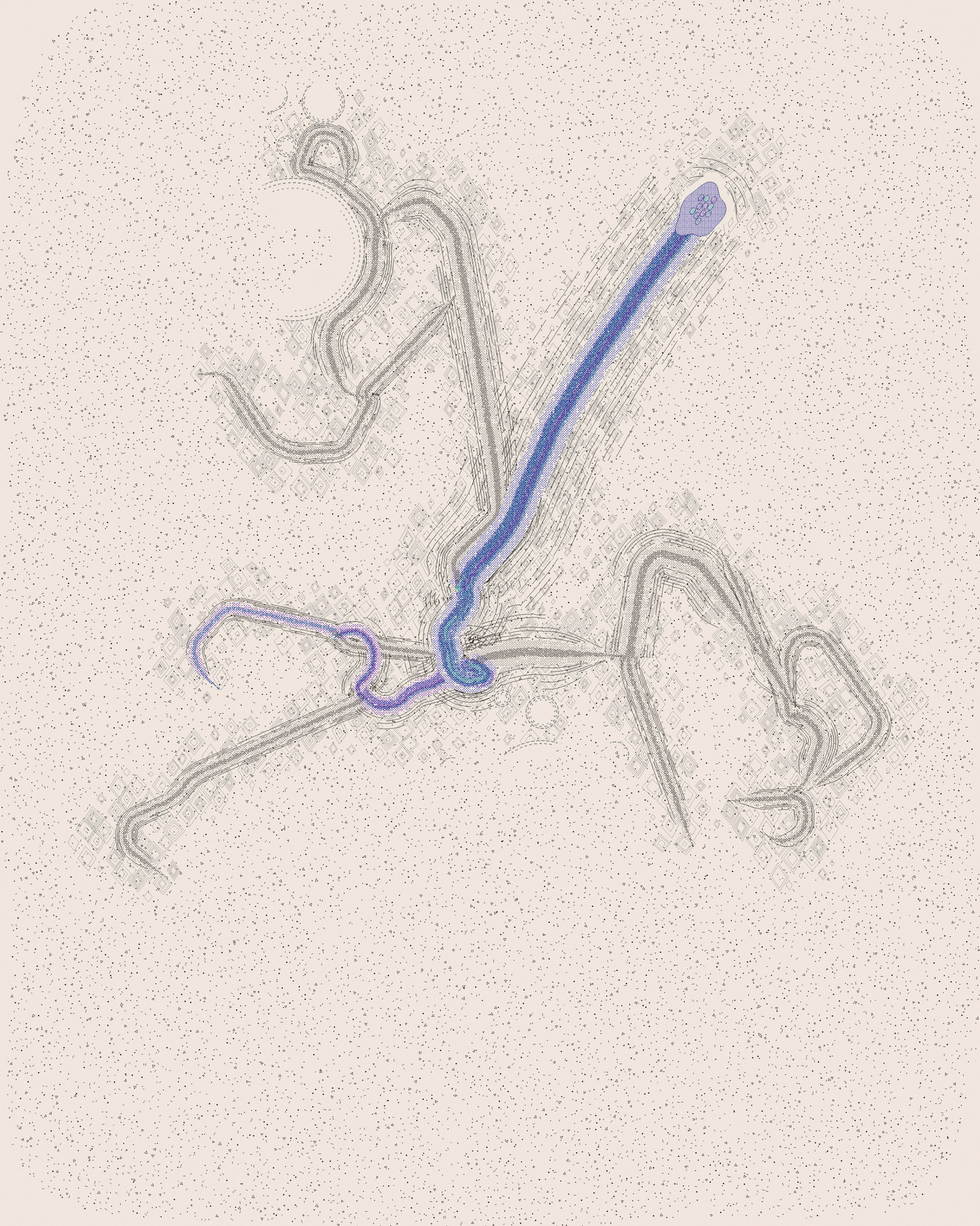 house-q-8’s part of the drawing