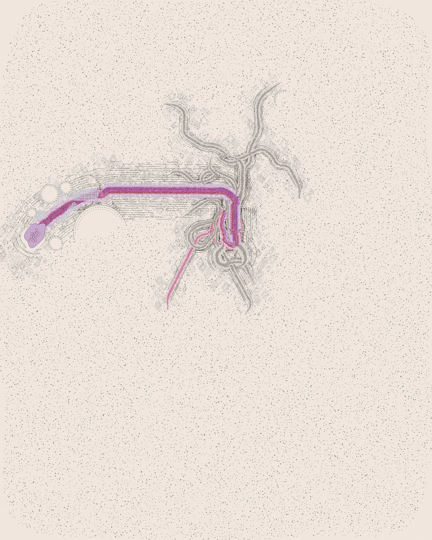 house-q-2’s part of the drawing