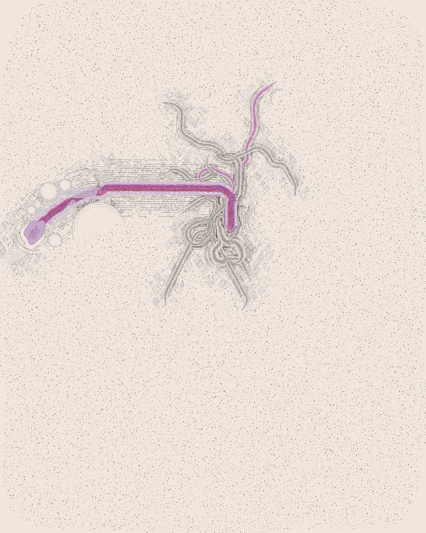 house-q-3’s part of the drawing