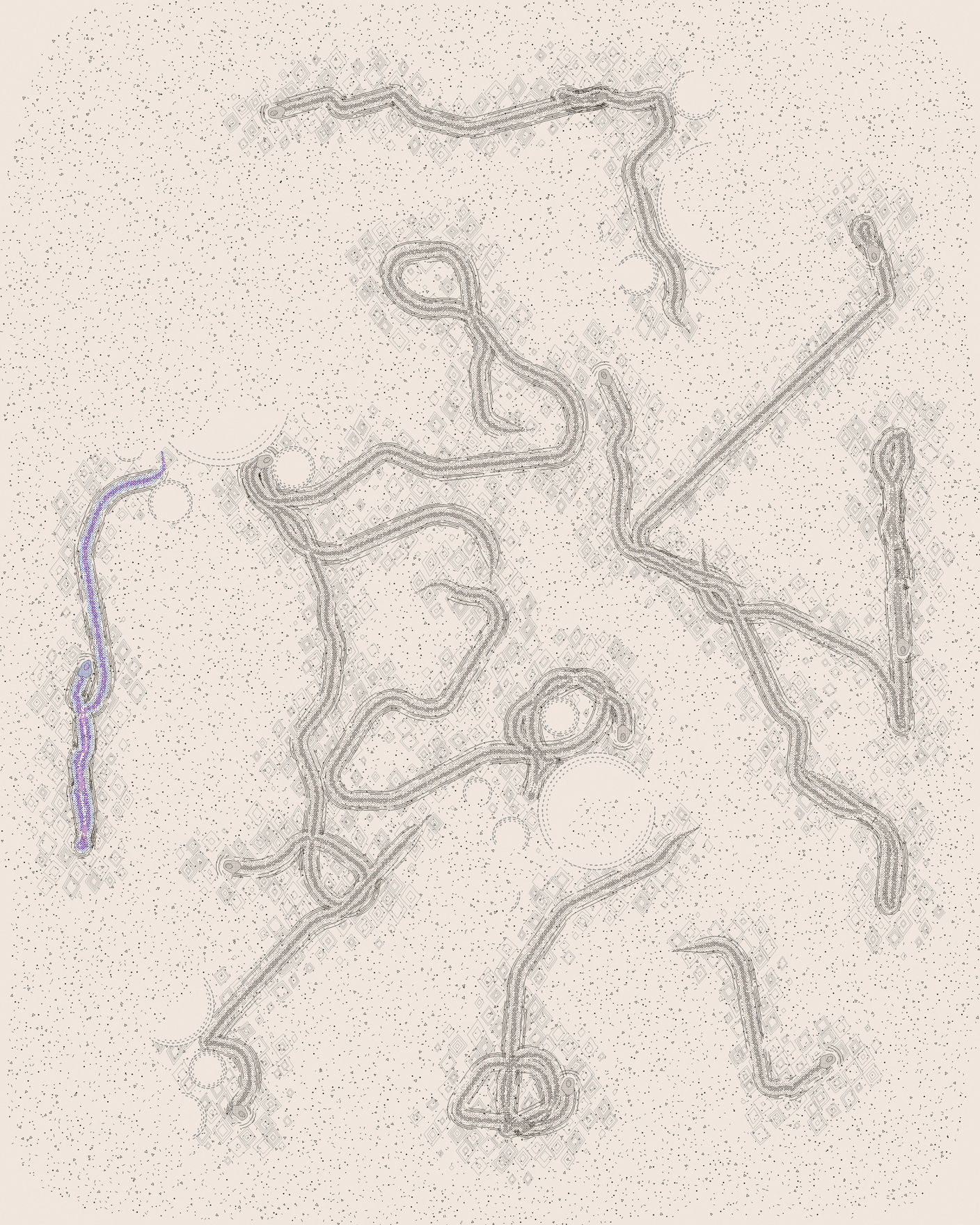 house-q-10’s part of the drawing