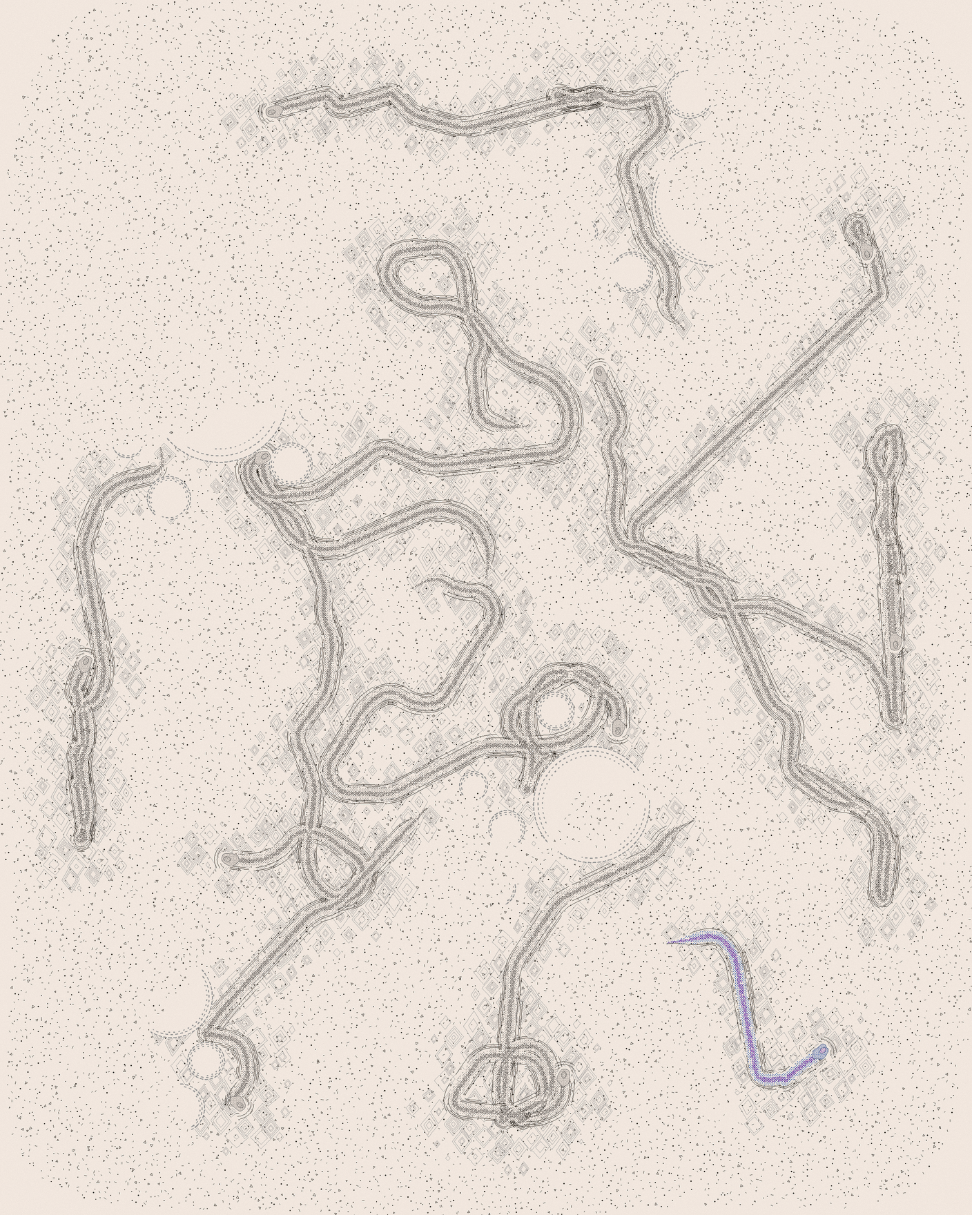 house-q-2’s part of the drawing