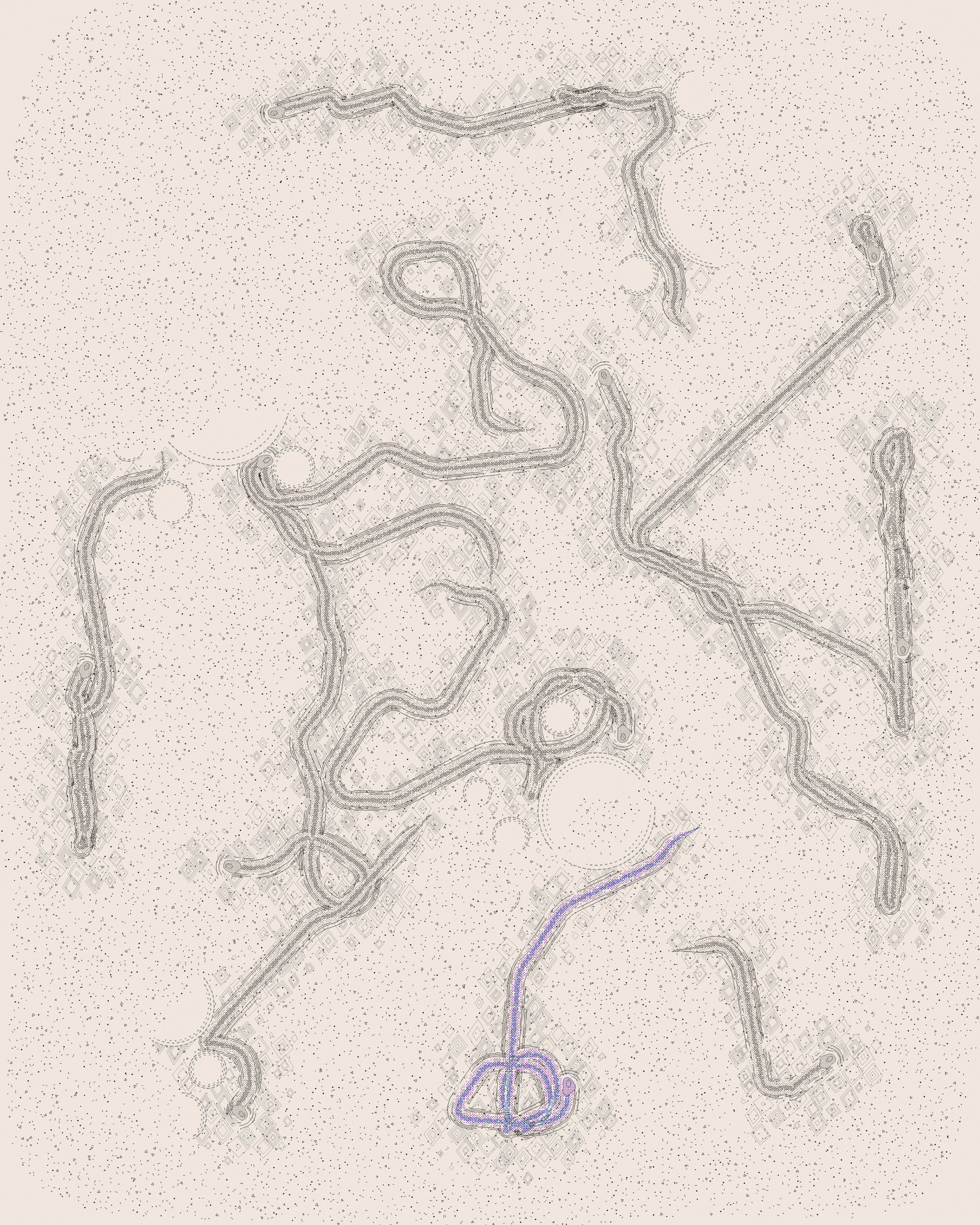 house-q-8’s part of the drawing