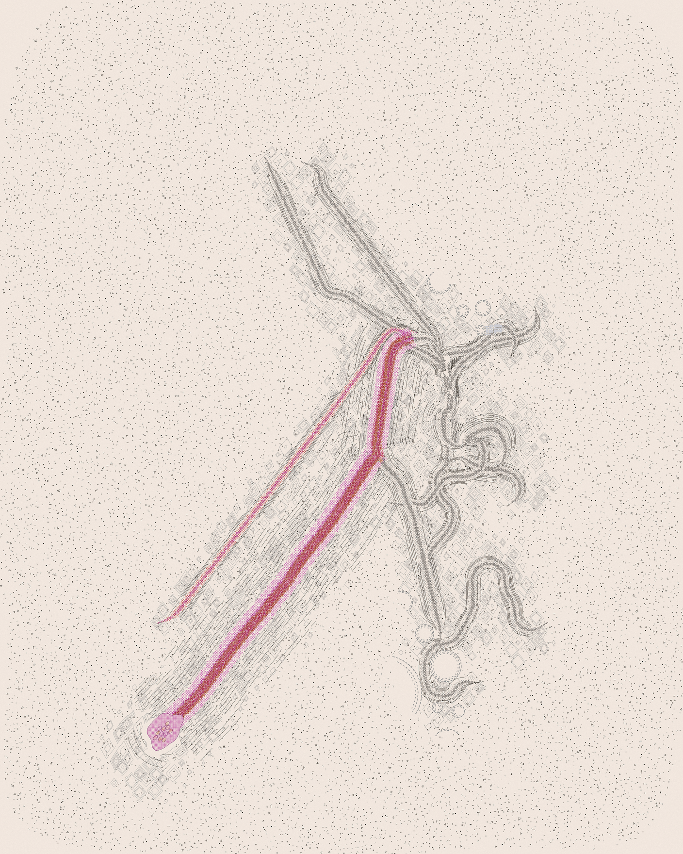 house-q-7’s part of the drawing