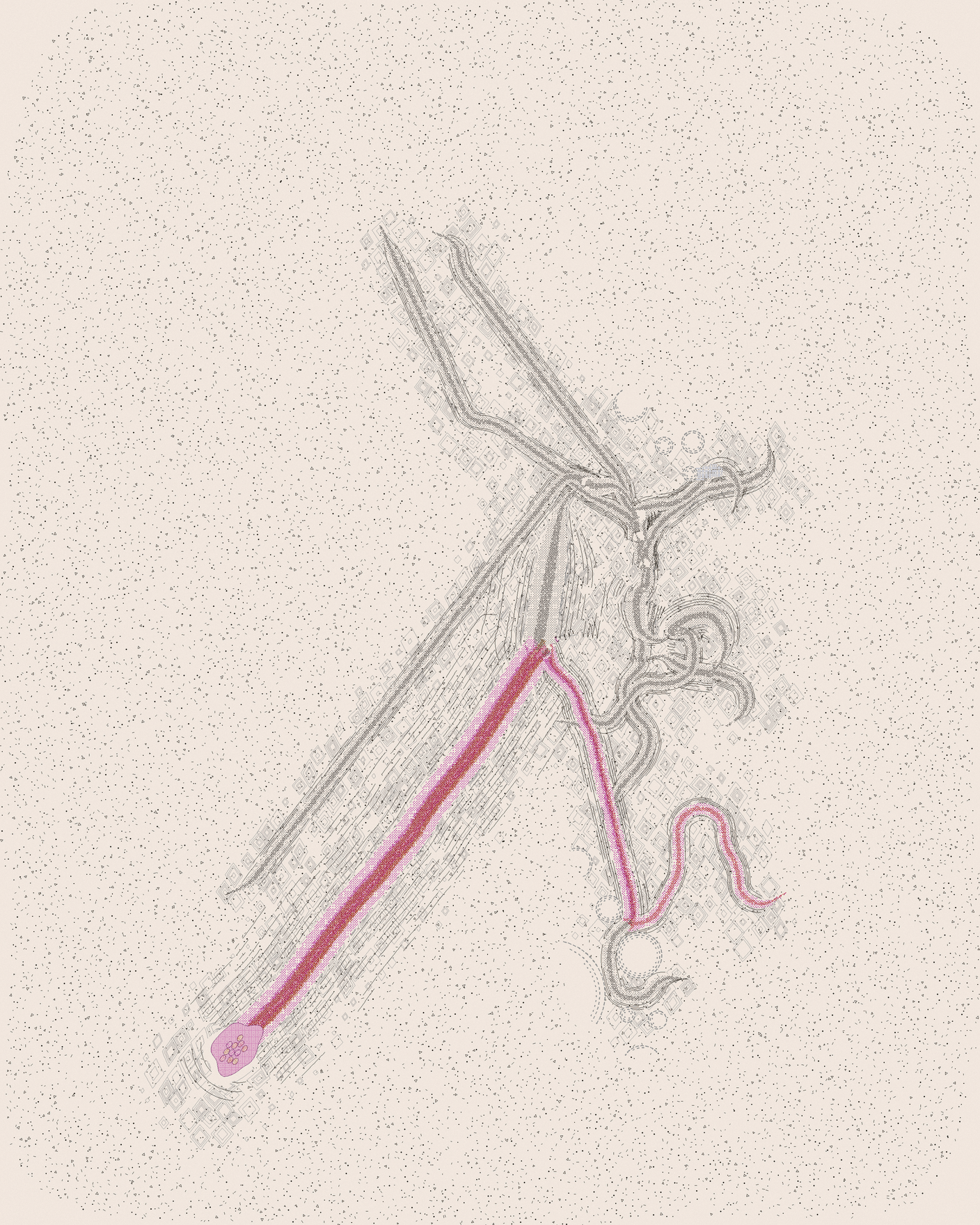house-q-9’s part of the drawing