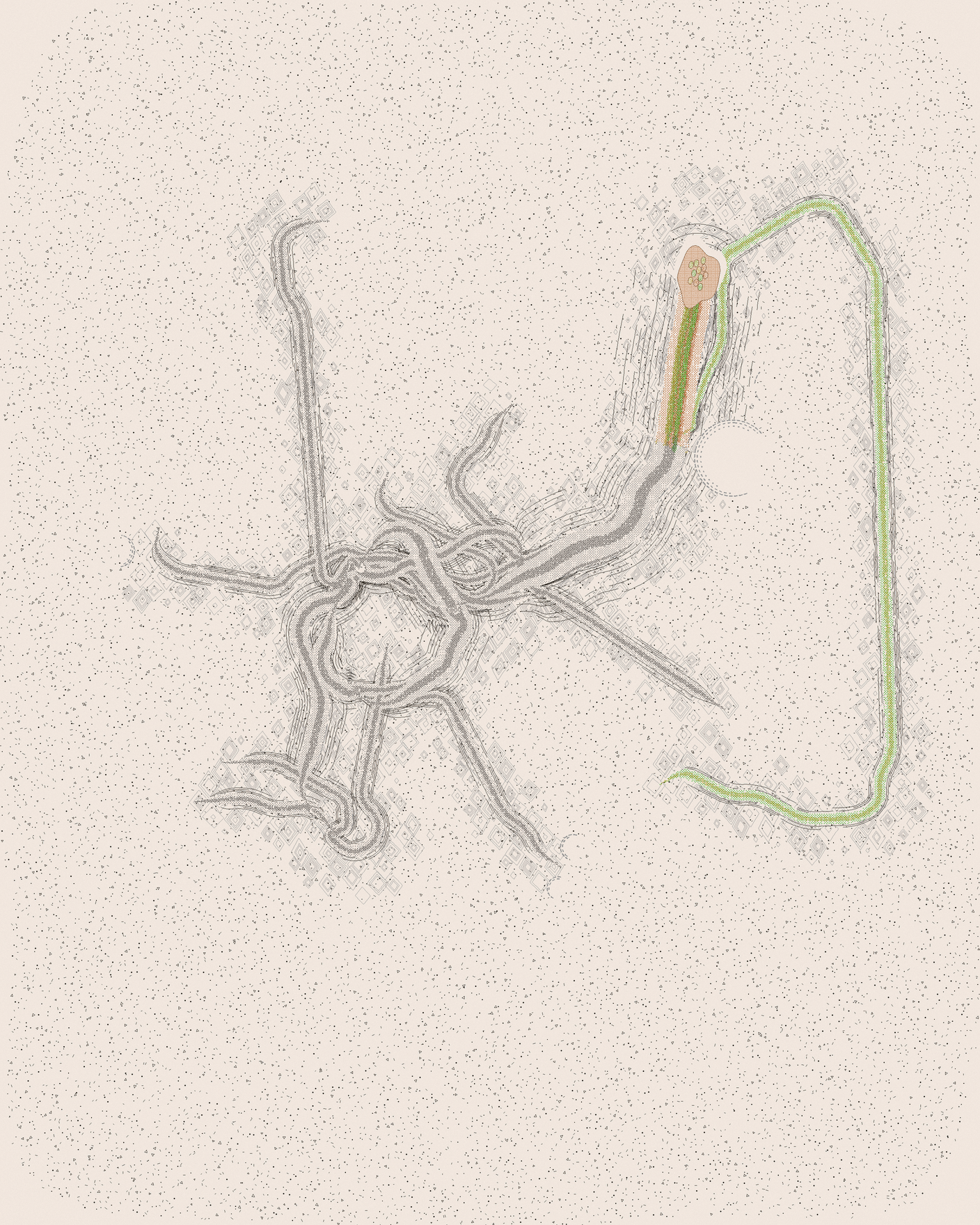 house-q-8’s part of the drawing