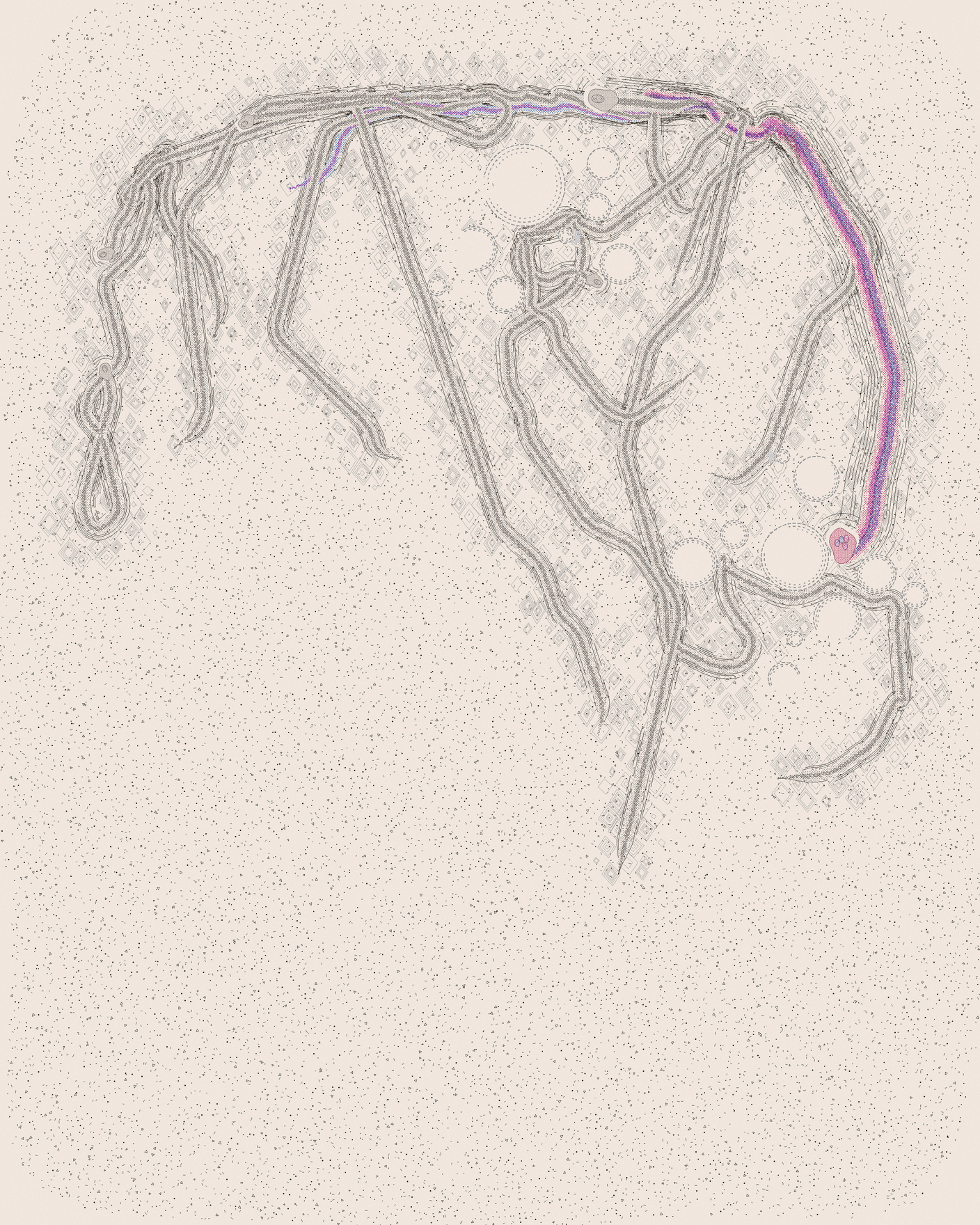 house-q-1’s part of the drawing