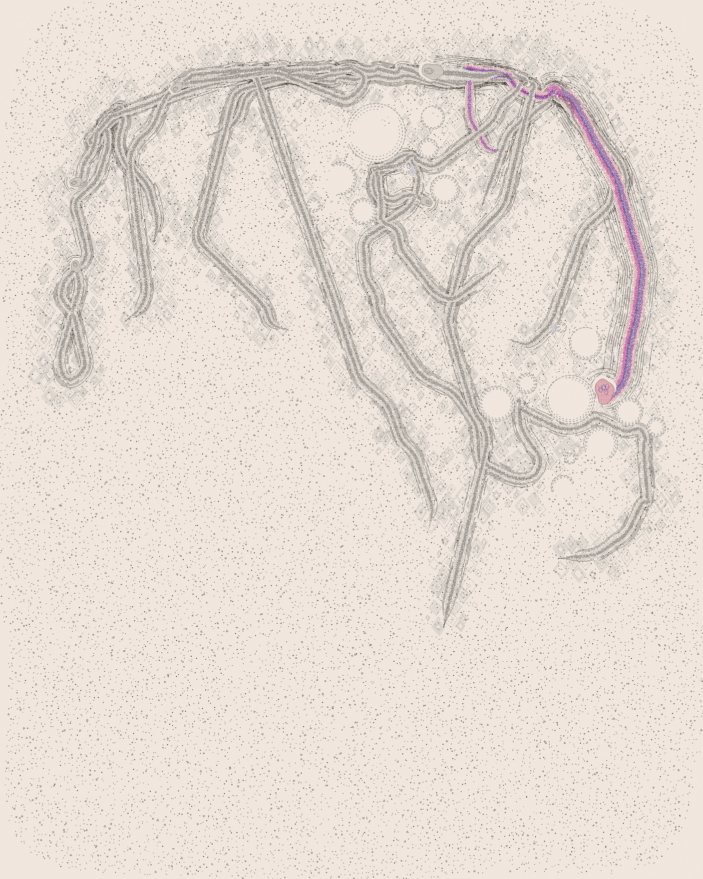 house-q-4’s part of the drawing