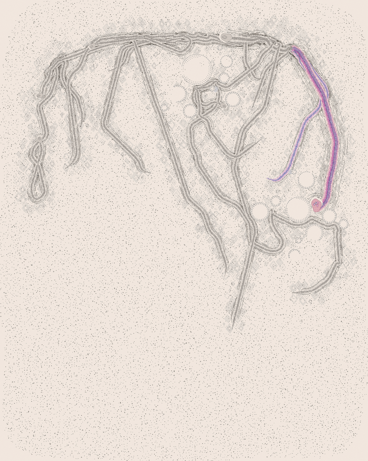 house-q-7’s part of the drawing