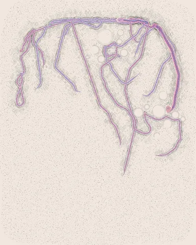 Wrinkles No. 076