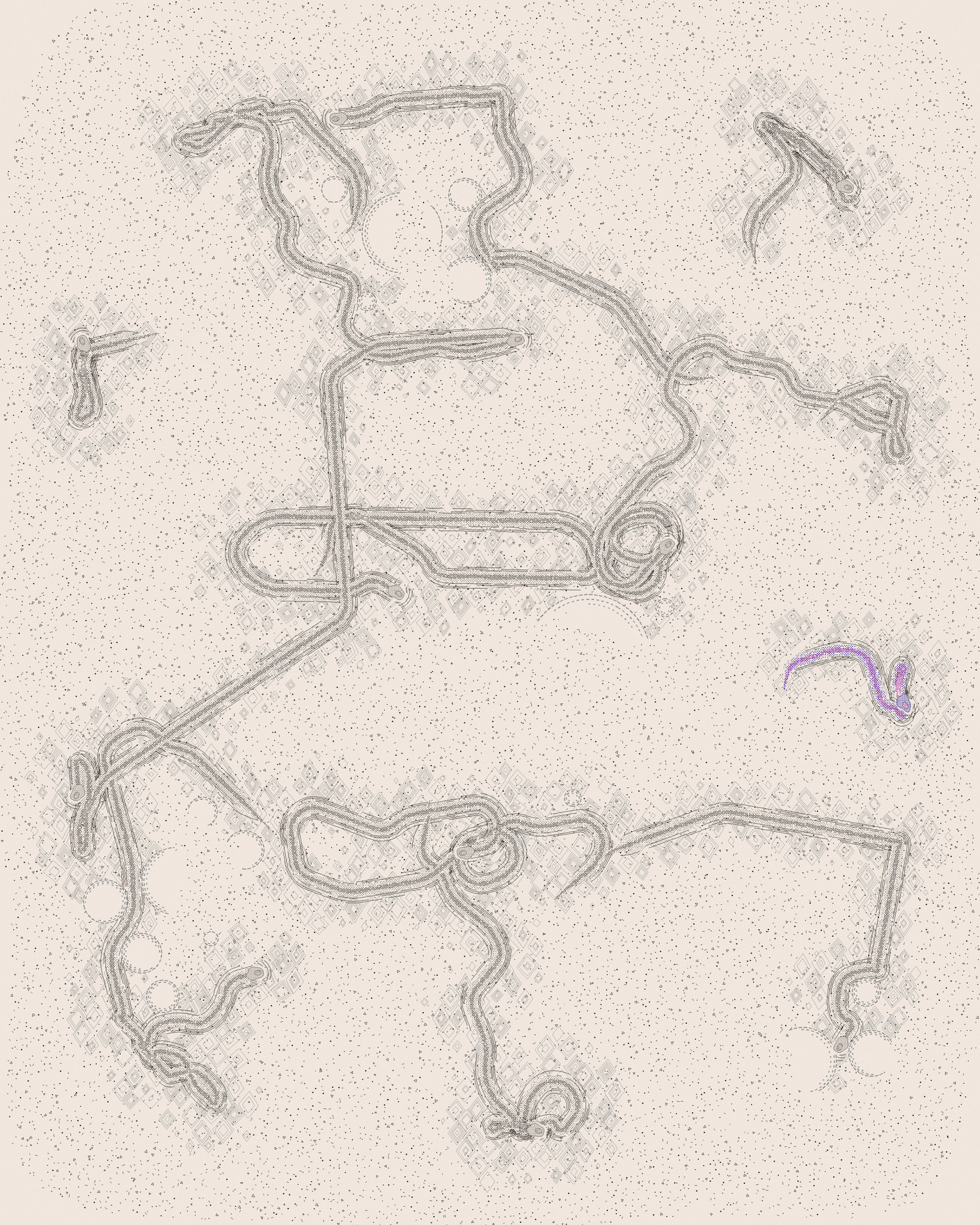 house-q-9’s part of the drawing