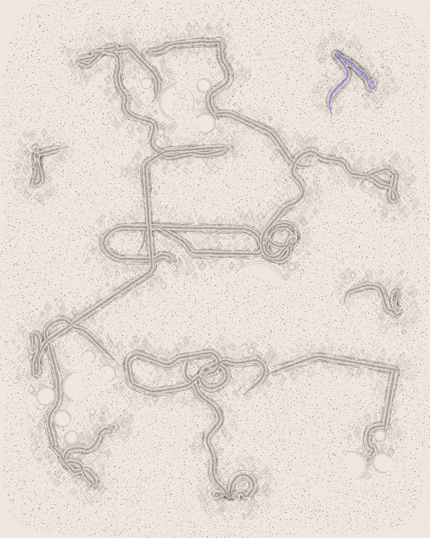 house-q-2’s part of the drawing